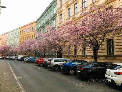 Bezručova, Brno, Brno-město 60200, Czech Republic