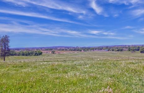 21012 Shenandoah School Road, Plymouth, California 95669, USA