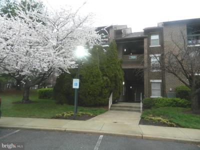 7925 Coriander Drive , 12, Gaithersburg, Maryland 20879, USA