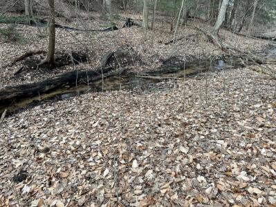 S. Beaune Rd., Ludington, Michigan 49431, États-Unis