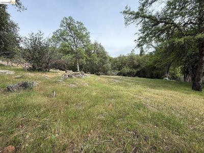 Lake Vista Drive, Sonora, Californie 95370, États-Unis