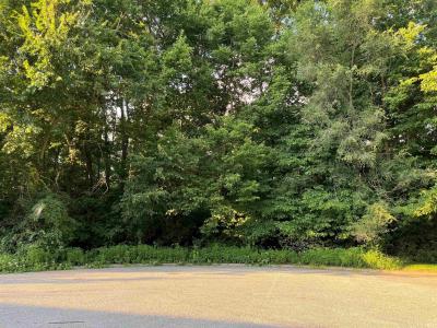 Lot 34 Auburn Estates, Elkhart, Indiana 46516, USA