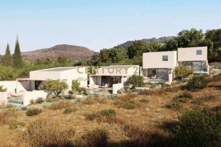 Aegina, Argosaronikos islands, Greece