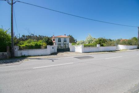 Cantanhede, Coimbra 3060-767, Portugal