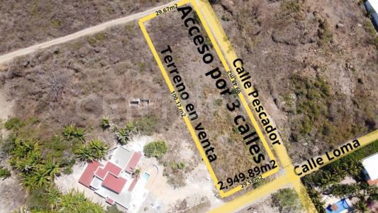 Pescador 0,, Bahía De Banderas, Nayarit 63733, Mexico