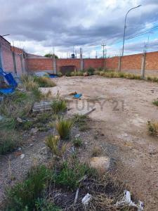 URB. SANTA ANA III -B CALLE DAMASO KATARI ESQ- PROL. GERMAN CAMPO JORDAN S/N, Norte, Oruro 00001, Bolivie
