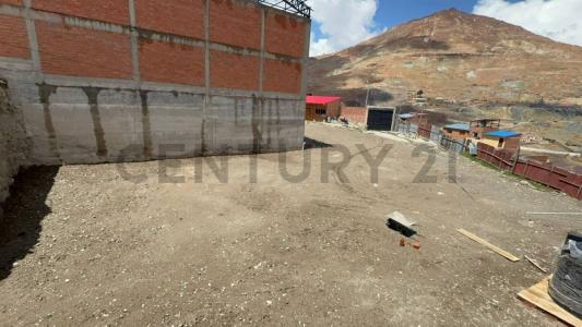 Alto Potosí, Potosí 00001, Bolivie