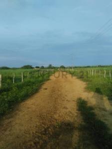 Calle 100 Finca Cooperativa Los Tacales, Quisiro, Zulia 4036, Venezuela