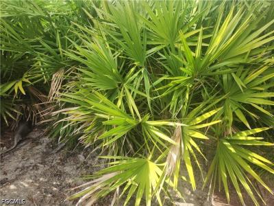 544 Wabasso Avenue S, Lehigh Acres, Florida 33974, USA
