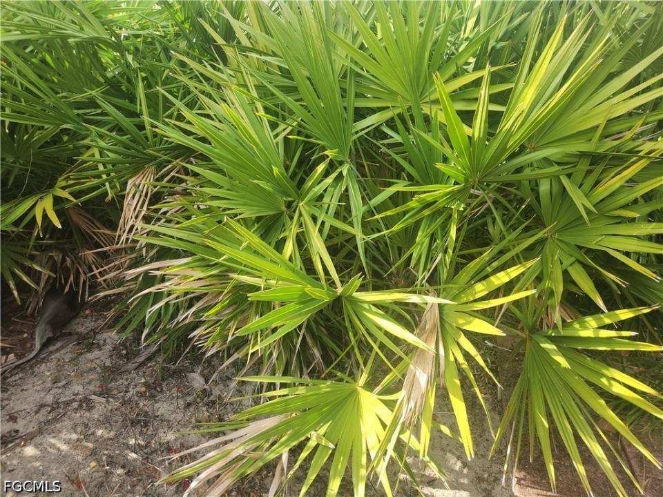 544 Wabasso Avenue S, Lehigh Acres, Floride 33974, États-Unis