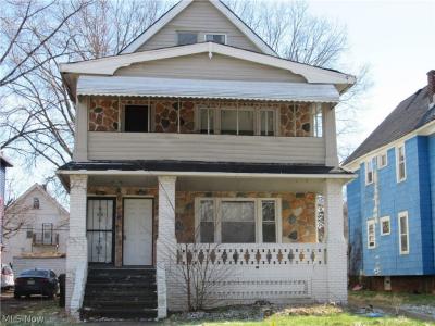 1427 E 133rd Street, East Cleveland, Ohio 44112, États-Unis