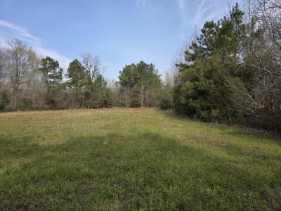 TBD Hubcap Rd., Kingstree, SC 29556, USA