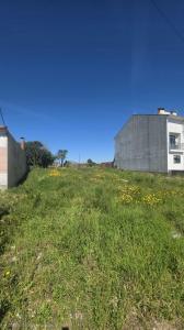 Авейру, Авейру 3810-217, Португалия