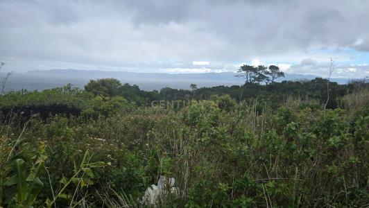 São Roque Do Pico, Ilha Do Pico 9940-213, 葡萄牙