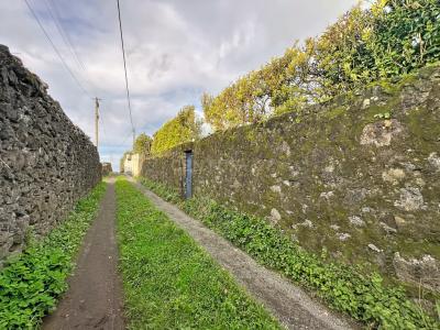 Ribeira Grande, São Miguel 9600-175, Portugal