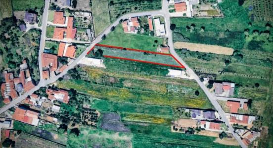 Oliveira Do Bairro, Aveiro 3770-410, Portugal