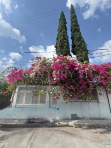 CALLE RÍO AZUL NO. 33, C.P. 39040, CHILPANCINGO DE LOS BRAVO, GUERRERO 33,, Chilpancingo De Los Bravo, Guerrero 39040, México