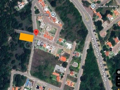 Venta de Lote en la entrada de Haras de 1000m2 con todos los servicios (drenaje, agua, telmex),, Amozoc, 普埃布拉 72998, 墨西哥