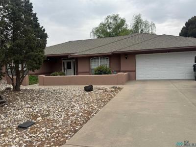 11 El Arco Iris Drive, Roswell, NM 88201, USA