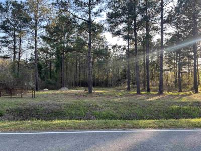 2108 Lees Landing Circle, Conway, דרום קרוליינה 29526, ארצות הברית של אמריקה 