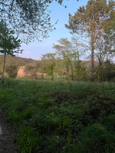 Viana Do Castelo, Viana Do Castelo 4900-012, Portugal