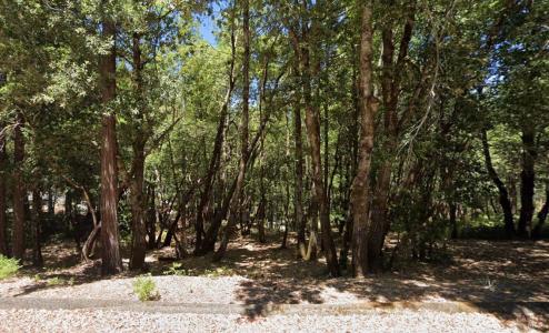 1664 Lilac Circle, Willits, 加州 95490, 美國