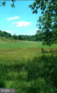 1112 Stony Hill Road, Winchester, Virginia 22603, USA