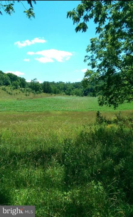 1112 Stony Hill Road, Winchester, Virginia 22603, USA