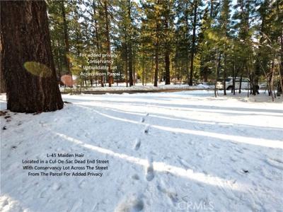 1662 Maiden Hair Ct, South Lake Tahoe, California 96150, USA