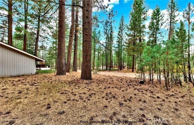 1662 Maiden Hair Ct, South Lake Tahoe, California 96150, HOA KỲ