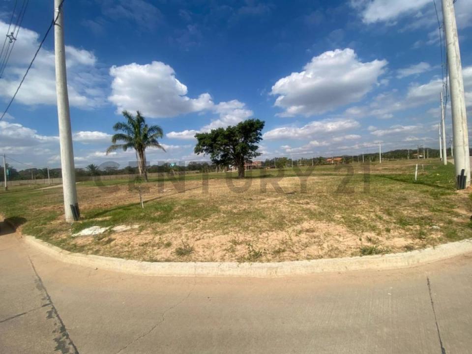 Playa turquesa , Urubo, Santa Cruz 00001, Bolivien