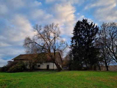 Buchbach, Bayern 84428, Alemania