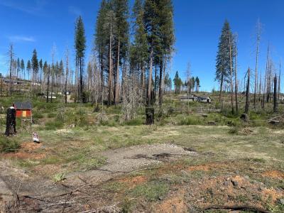 5154 Evergreen Drive, Grizzly Flats, Califórnia 95636, Estados Unidos