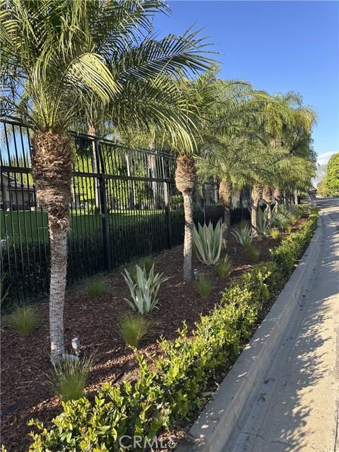 959 Rodeo, Fullerton, Califórnia 92835, Estados Unidos