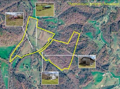 1499 State Highway 174, Olive Hill, كنتاكي 41164, الولايات المتحدة