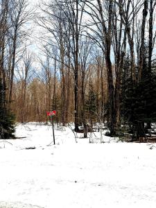 4378N Kimmear Rd, Mercer, Wisconsin 54547, USA