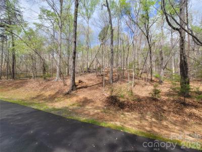 0 Springhill Drive, Rutherfordton, North Carolina 28139, Stati Uniti