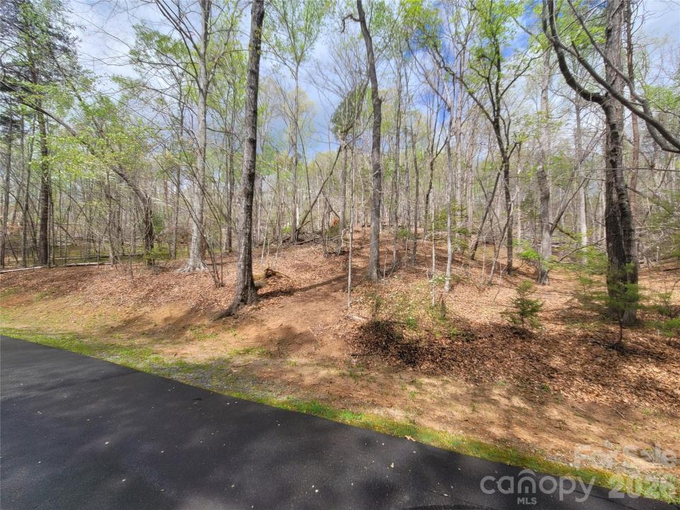 0 Springhill Drive, Rutherfordton, North Carolina 28139, USA