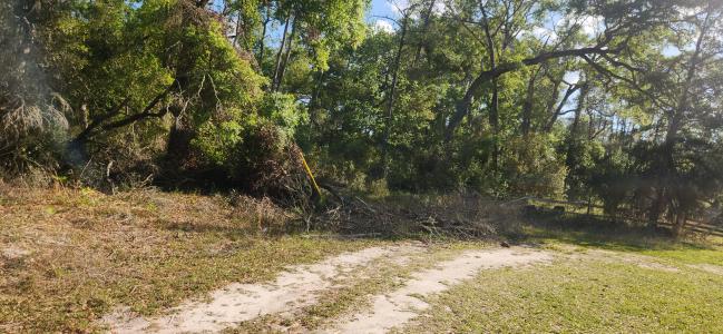 408 NE 278 Ave, Old Town, 佛羅里達州 32680, 美國