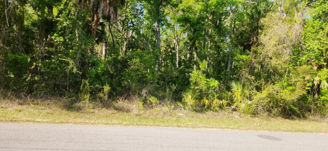 383 NE 209 Ave, Old Town, 佛羅里達州 32680, 美國