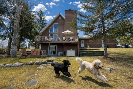 1035 Cantabrian, Lake Isabella, 密歇根州 48893, 美国