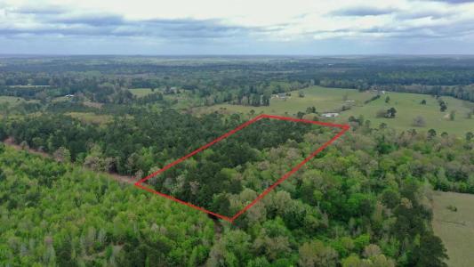 0001 CR 1628, Linden, Texas 75563, USA