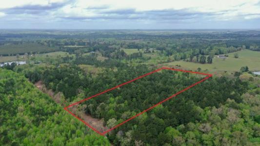 0002 CR 1628, Linden, Texas 75563, USA