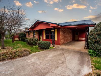 1080 Rice Lane, Church Hill, تينيسي 37642, الولايات المتحدة