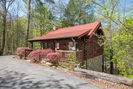 713 Harrier Court Way, Pigeon Forge, Tennessee 37863, Stati Uniti