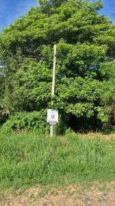 Costa de las Palmas casi La Floresta , Mariano Roque Alonso, Central 00001, Paraguay