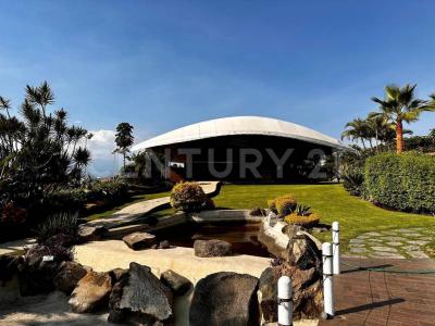 Paseo de los Burgos 308,, Temixco, Morelos 62584, Mexico