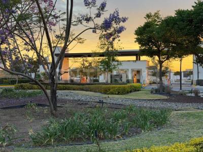 Cto. Mayorazgo del Valle 108,, León, Guanajuato 37547, México