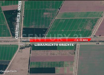 Ahome, Sinaloa 81200, Mexico