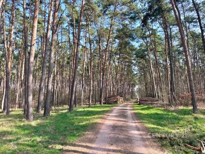 Moravní, Rohatec, Hodonín 69601, Tschechische Republik